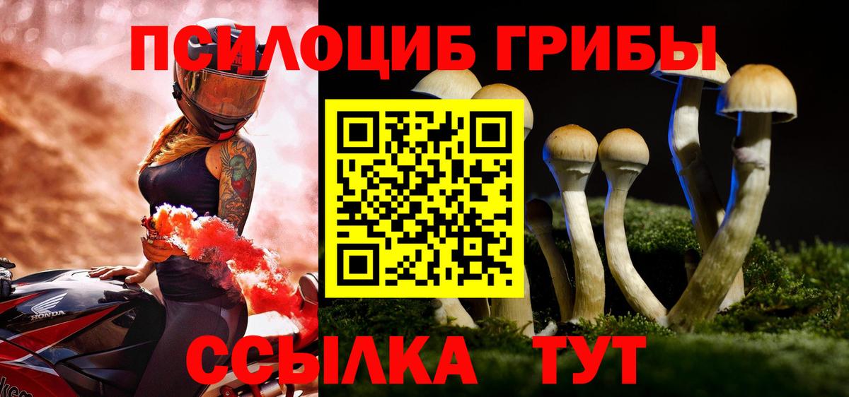 Ипатово  Псилоцибиновые грибы мицелий  Псилоцибиновые грибы прущие грибы  Вход с VPN 