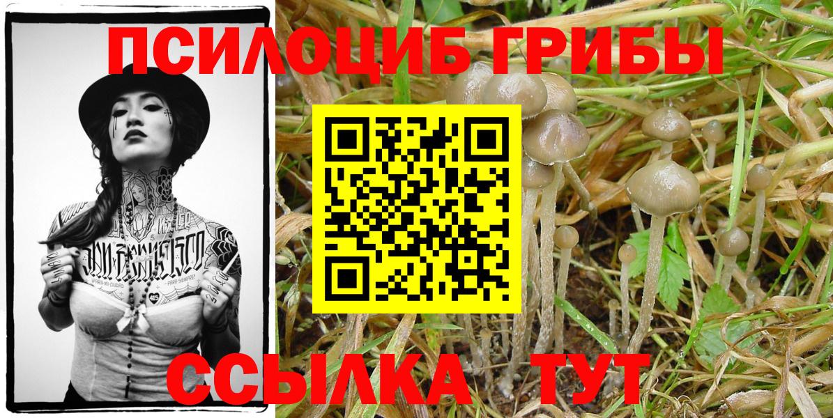 Галлюциногенные грибы прущие грибы Ипатово